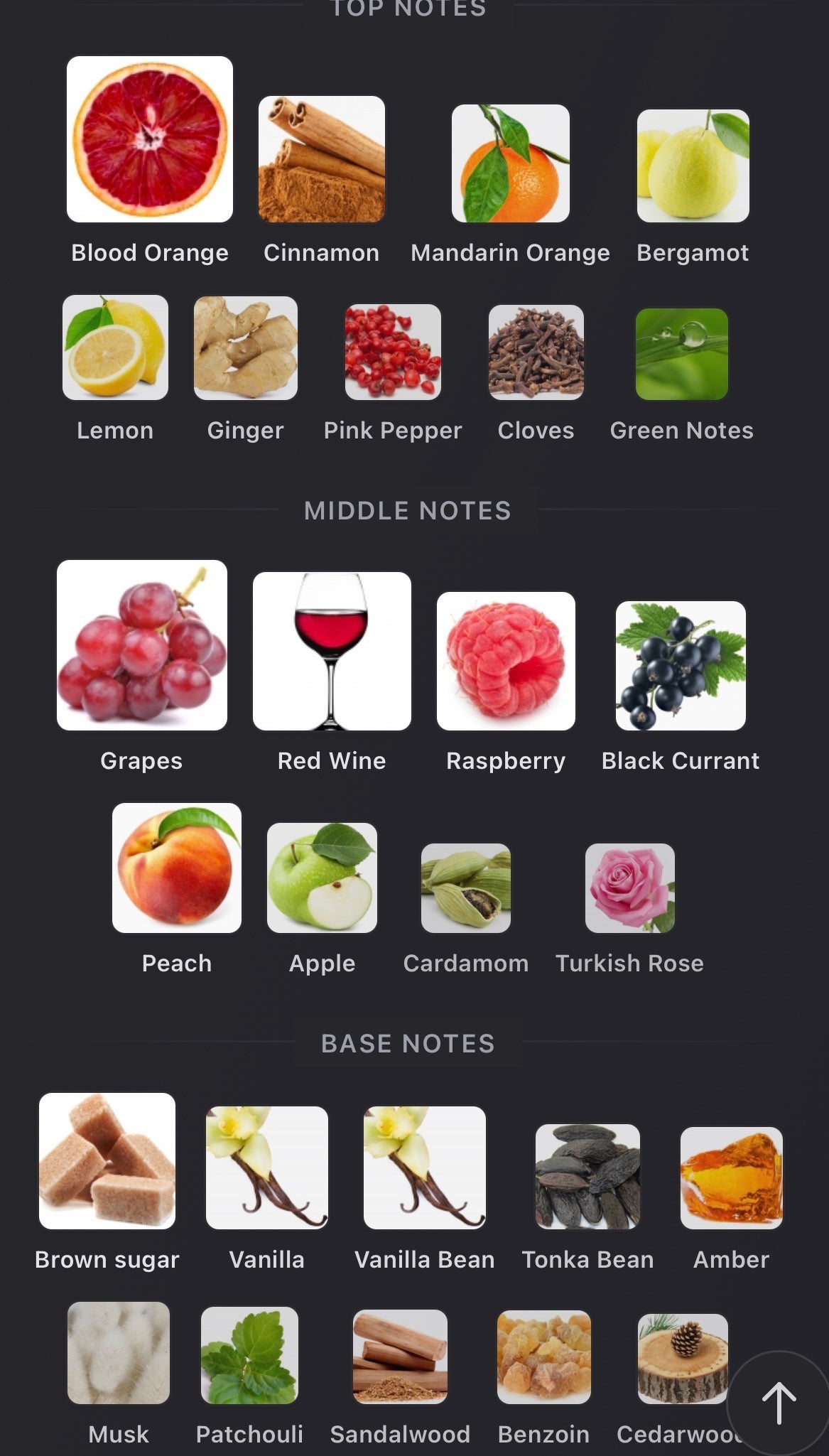 Lorenzo Pazzaglia - Sungria Extrait