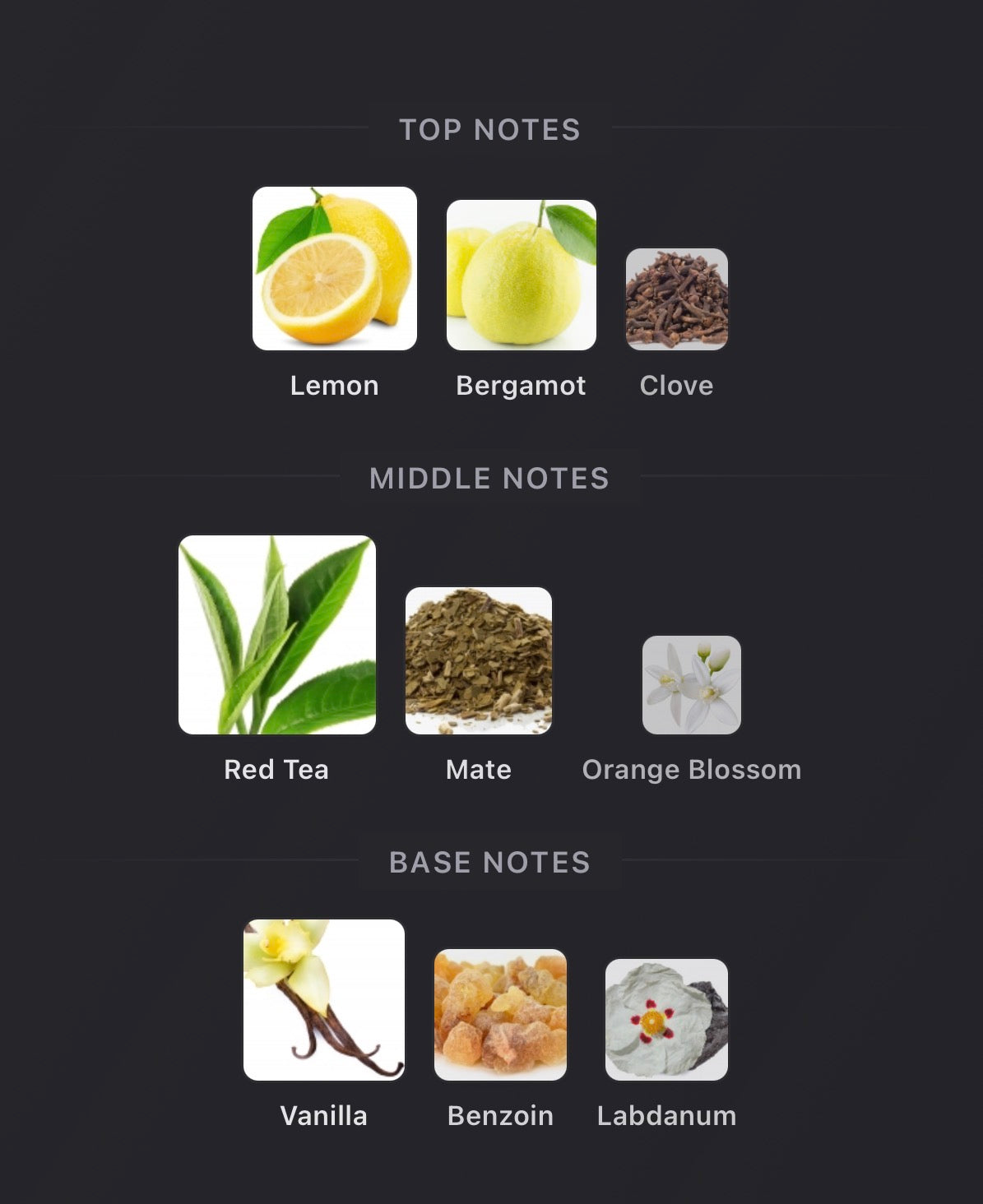 Memo Paris - Winter Palace