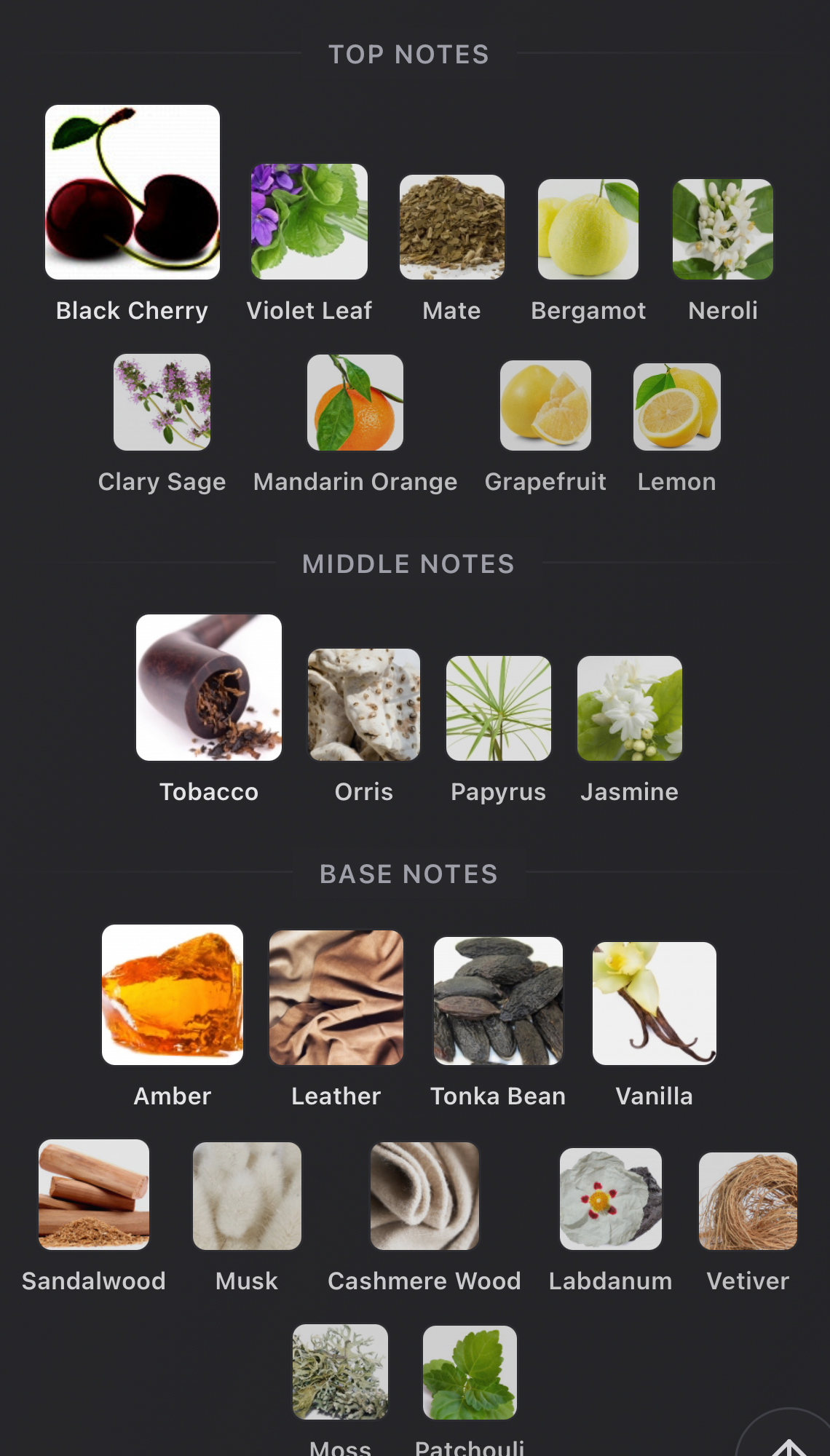 Clive Cristian - Hedonistic EDP