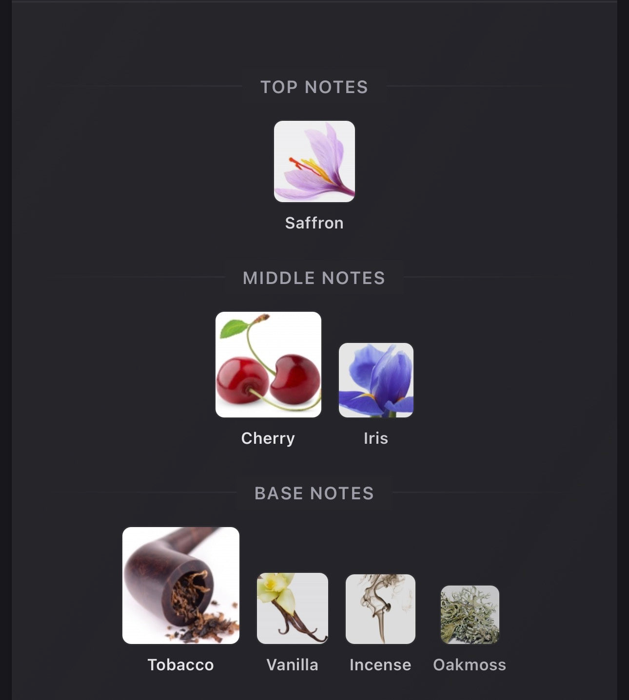 Chambre 52 - Tobacco Memories EDP