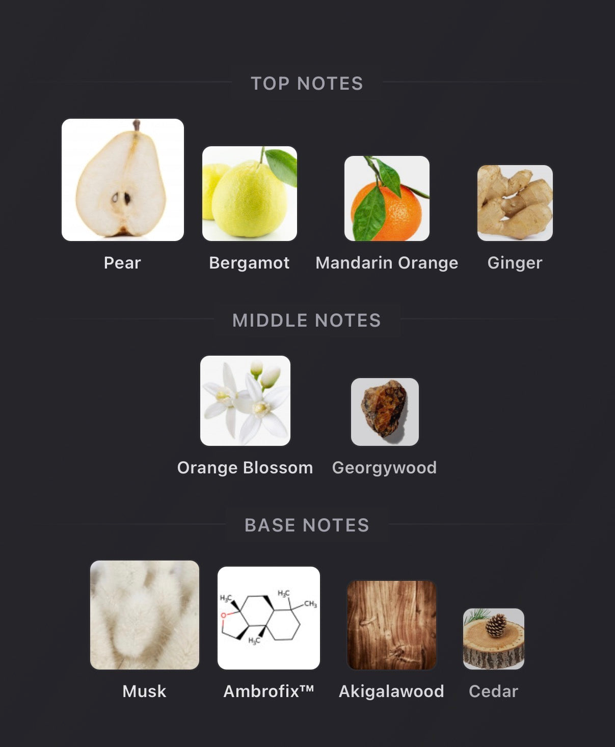 Ex Nihilo - Blue Talisman EDP