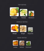 Pernoire - Anelo Extrait