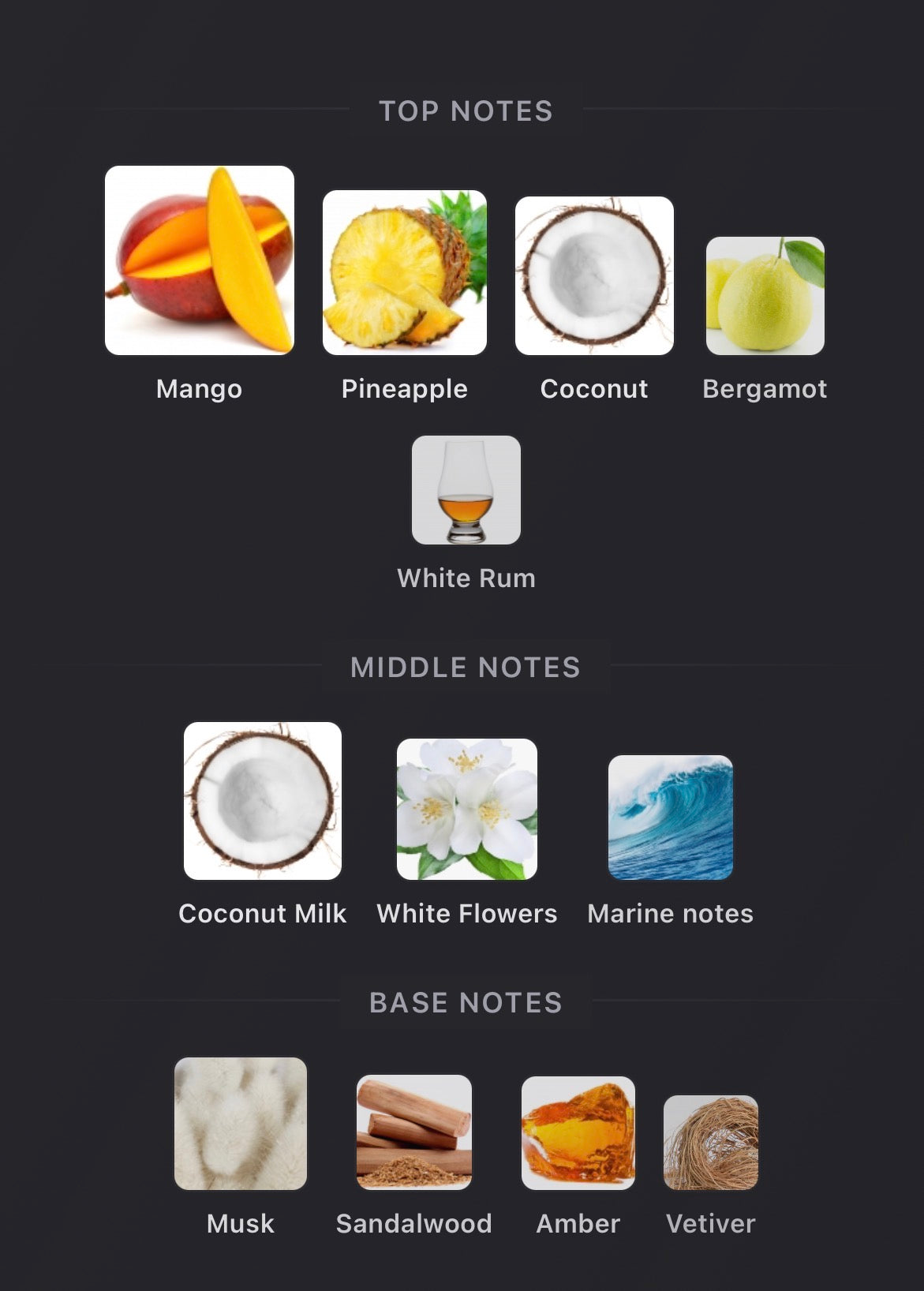 Lorenzo Pazzaglia - Summer hammer