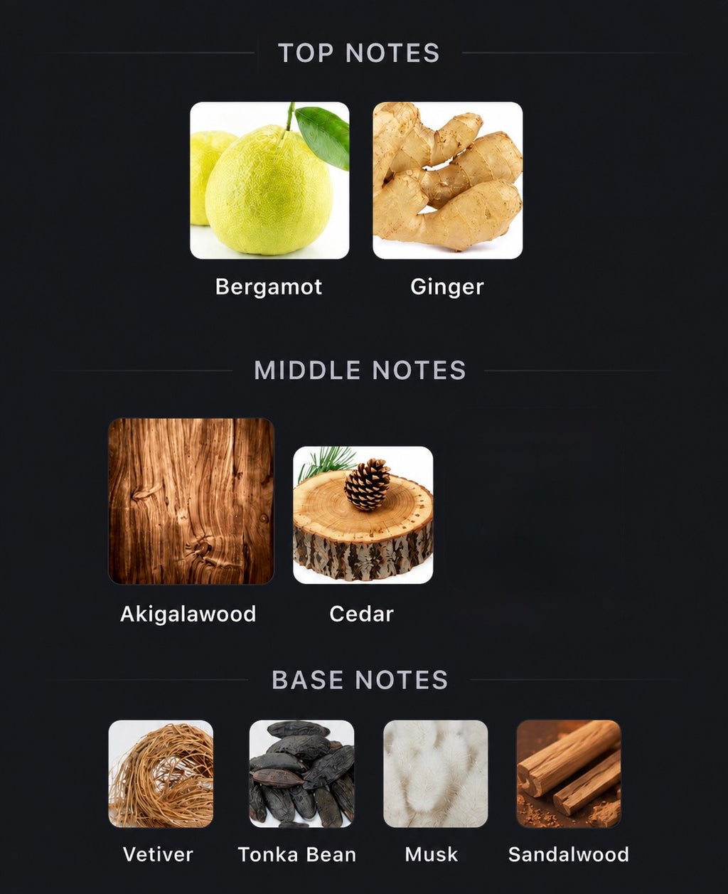 Ex Nihilo -The Hedonist Signature Sandalwood Blend