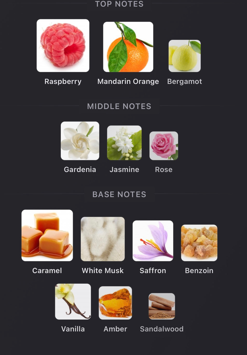 Reinvented - Sacred Bond Extrait
