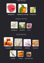 Reinvented - Sacred Bond Extrait
