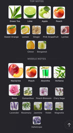 Lorenzo Pazzaglia - Speachless Extrait