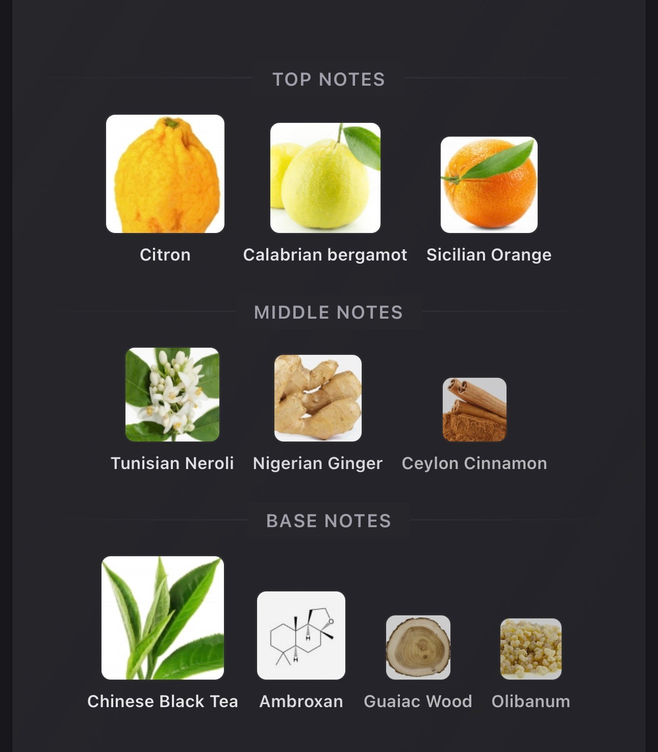 Louis Vuitton- Imagination