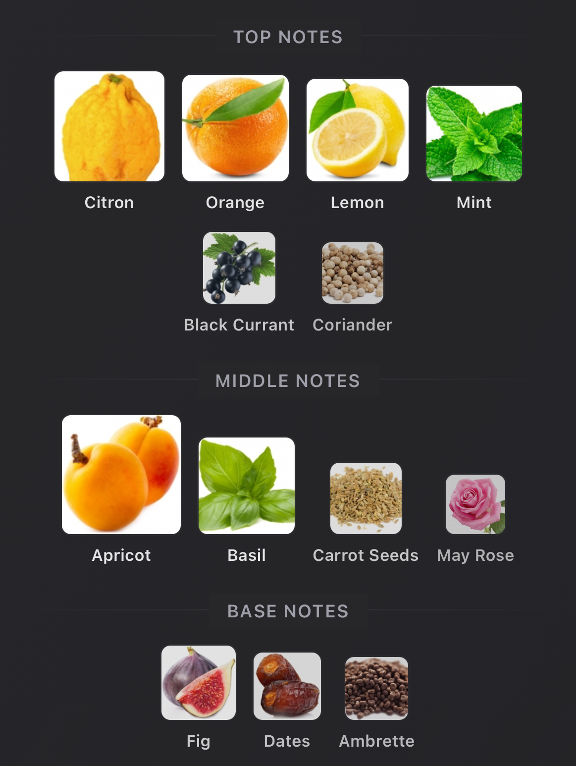 Louis Vuitton- Pacific Chill