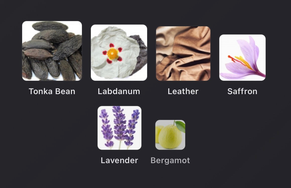 YSL - 6 Place Saint Sulpice