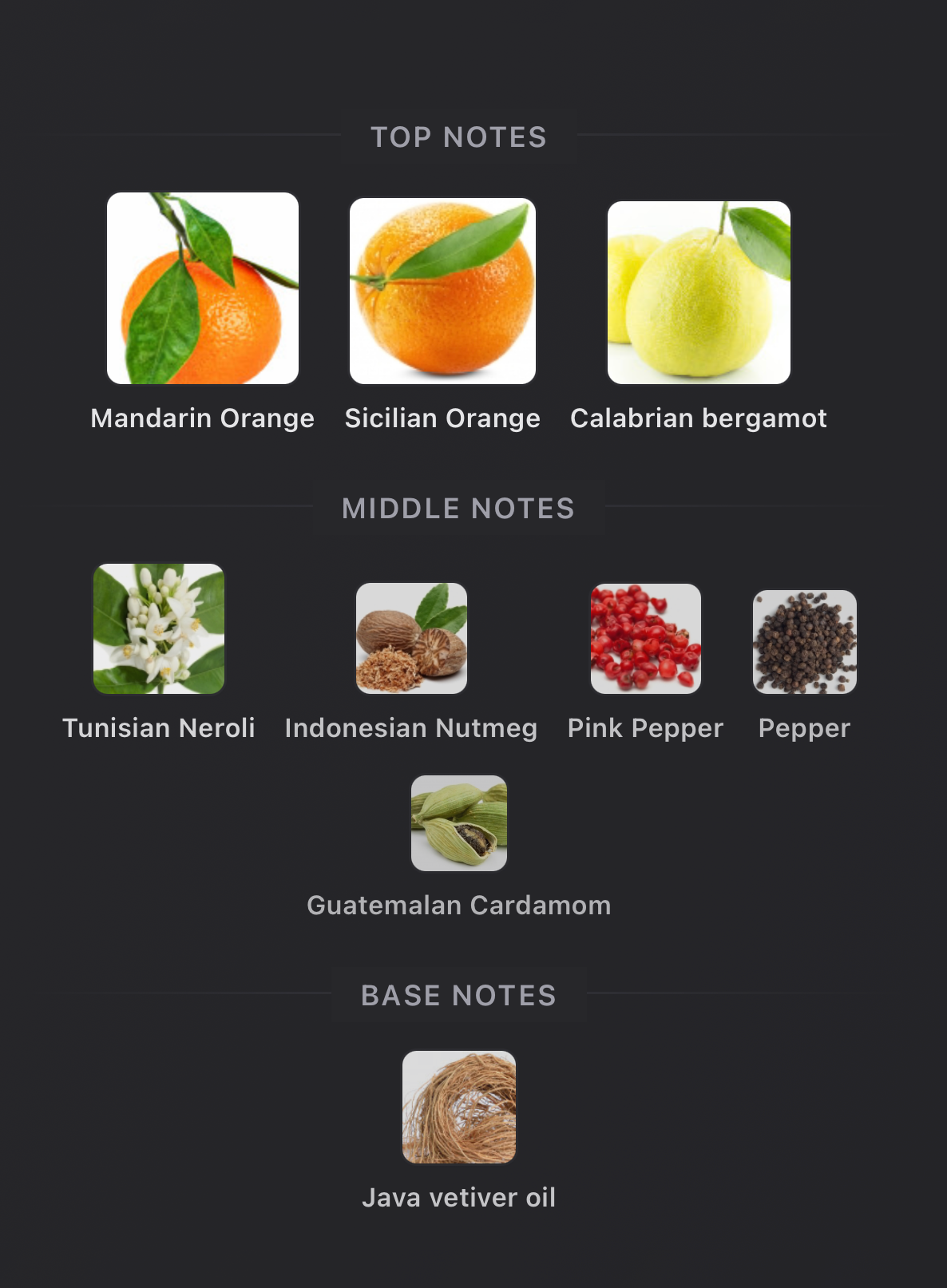 Louis Vuitton- Meteore