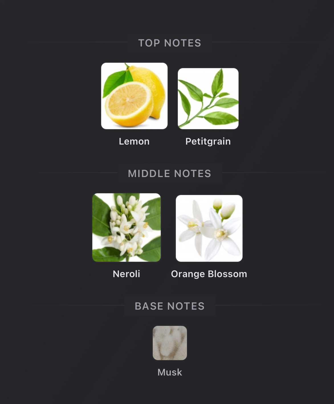 Louis Vuitton- Sun Song